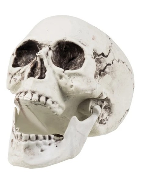 Deko Totenkopf Halloween, 24 x 18 cm - Weiß